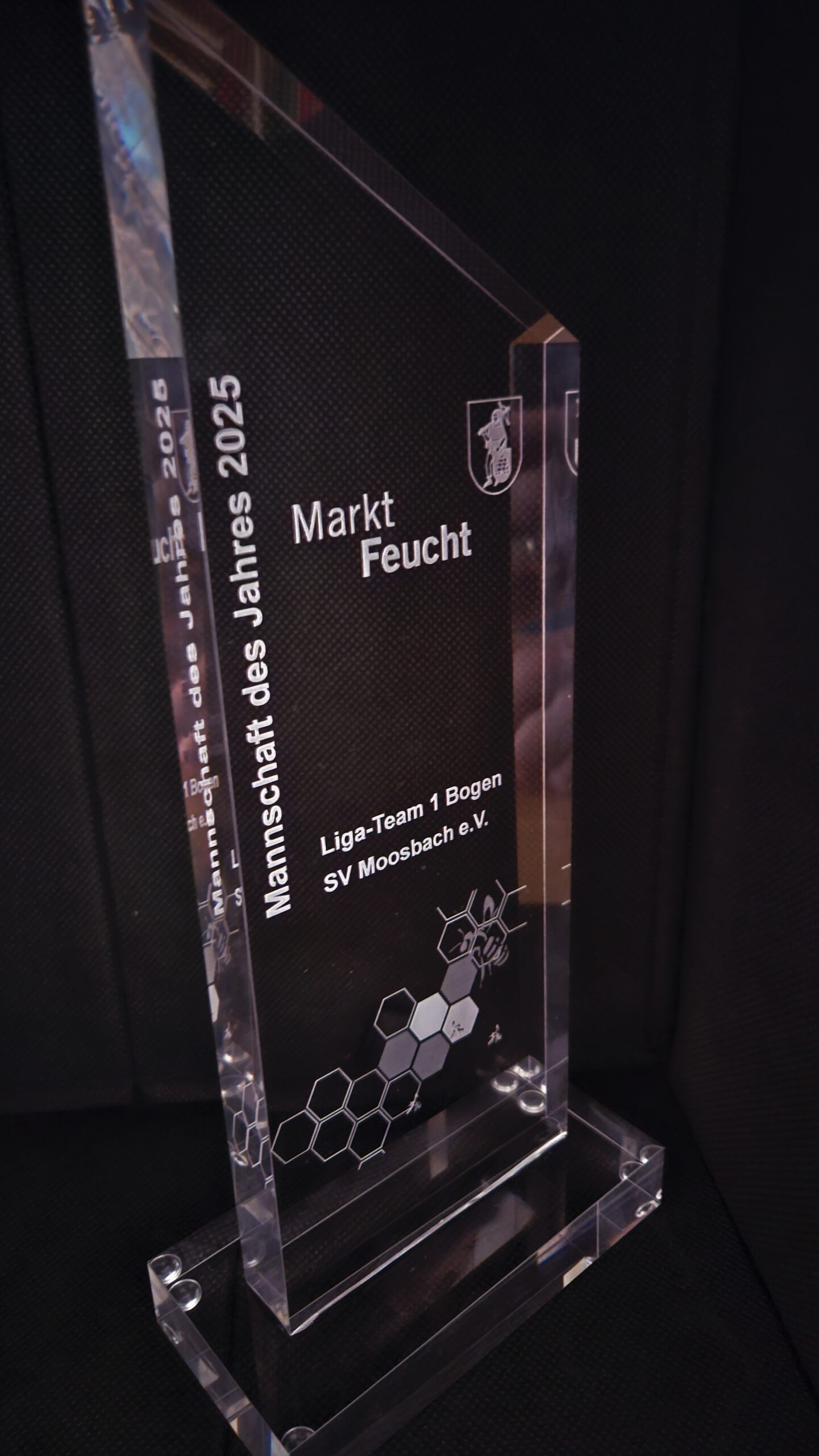 Mehr über den Artikel erfahren Mannschaft des Jahres 2025