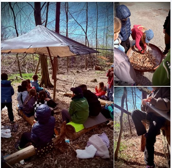 Mehr über den Artikel erfahren Waldgruppe – Es wird Frühling